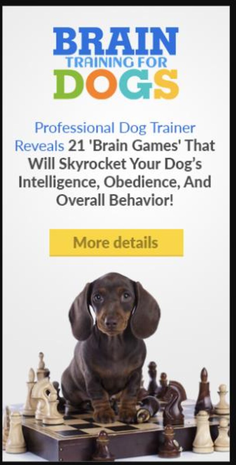 Brain Training for Dogs promotional artwork